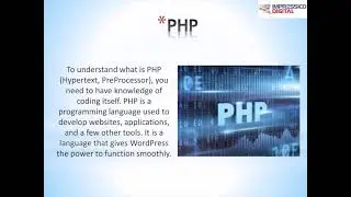 Which is best WordPress or PHP for website development