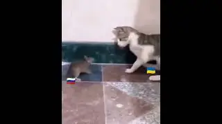 Ніхуя собі блять, ше ЗСУ