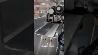 insert corner bag powder packaging machine