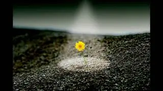 Scorpions ~ Sign Of Hope
