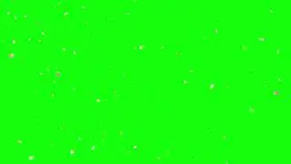 Pink petals falling green screen effect