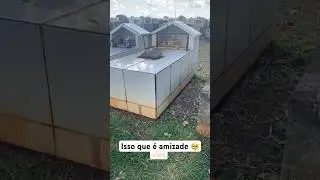 Isso que é amigo 🥺🥺👏🏻👏🏻