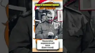 мемы из тик тока