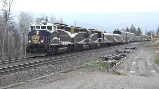 Skeena Pacific #2253 Rocky Mountaineer West, Mile 87.4 Shuswap Sub, Squilax, BC  2024-09-25