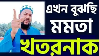 'পাঁচ বছরে মমতার গোড়া কেটে দেব' একি বললেন পীরজাদা ।