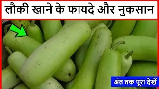 लौकी खाने के फायदे और नुकसान || Lauki Khane Ke Fayde Aur Nuksan