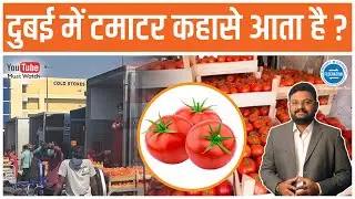 दुबई में टमाटर कहा से आता है ? क्या भाव में बिक रहा है ? Dubai Tomato Market. Tomato rates in Dubai