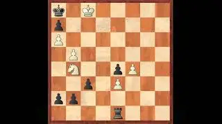 Chess Beauty #97