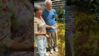 Картофель, часть 1