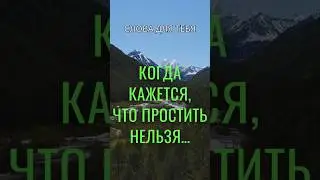 Жизненные Цитаты, которые Стоит Знать! Обида и Прощение: Мудрые Слова 
