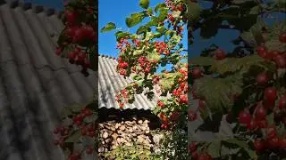 Замечаете? 🔆