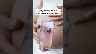 Third Trimester Problems 🤰😴