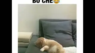 Когда убегаешь во сне😂