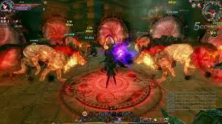 C9 Reminiscence/Raebin dungeon Master Running/part.2