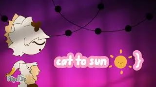 решила поменять интро // cat to sun ☀️}