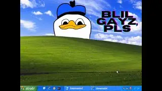 bill gates, pls
