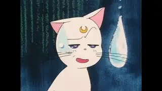 Aretmis the Sushi Thief