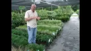 Choosing The Right Plant For The Right Spot