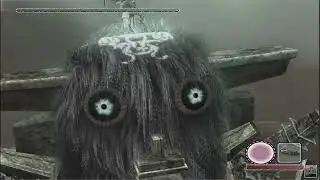 Shadow of the colossus es una cosa