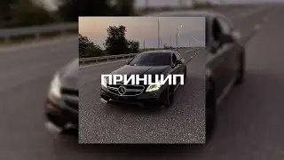 [FREE] "Принцип" - Каспийский Груз x Macan x Santiz Type Beat