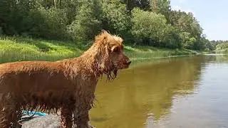 Пейзажи Вори.