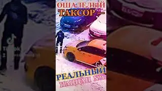 Ошалевший ТАКСОР — РЕАЛЬНЫЙ ПАЦЦЦАН!