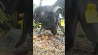 hangi şehirden izliyorsunuz🖐️