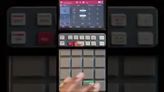 How to Choke Samples and Create Mute Groups with the MPC Live 2