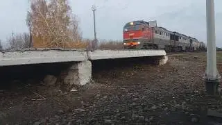 Тепловоз 3ТЭ116У с грузовым поездом проходит станцию Цна