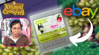 I Bought A Stranger's Animal Crossing Save File & It Was SO LOVED (So many details!)