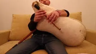 ТОРНАЛ Е ТОДЬО, РОДОПСКА КАБА ГАЙДА, ИНСТРУМЕНТАЛ, урок по гайда