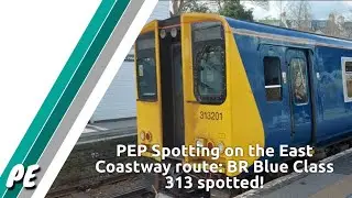 PEP Spotting on the East Coastway route: BR Blue Class 313 spotted! (Trains at Lewes 08/04/23)