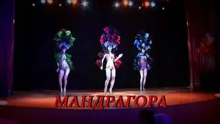 Шоу-балет Мандрагора