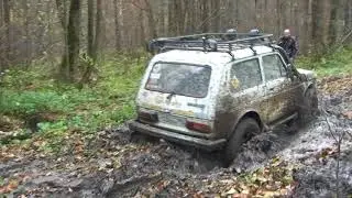 сафари 510