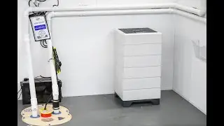 The World's Best Air Purifier
