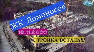 ЖК ЛОМОНОСОВ / СК ПЕТРОСТРОЙ / СПБ /  СТРОЙКА СТОИТ 16.11.2020 🏗🏗🏗🏘🏘🏘  /КИНУТЫЕ ДОЛЬЩИКИ