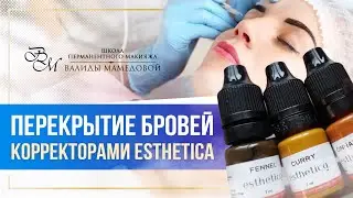 Перекрытие татуажа бровей корректорами Esthetica (Эстетика)