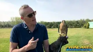 🦅Birds of Prey with Simon 🦅