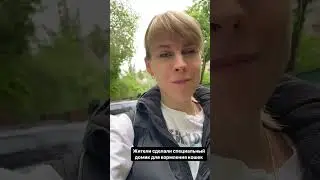 Кормушка для кошек.
