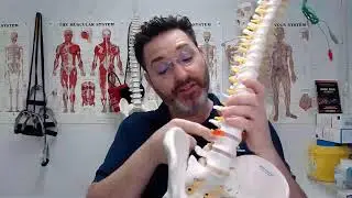 Everyday Activities to Avoid with Herniated Disc