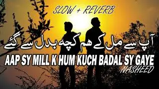 Urdu Ghazal aap se milke hum kuch badal se gaye Ziyad Hanif Sad Poetry #motivation #motivation
