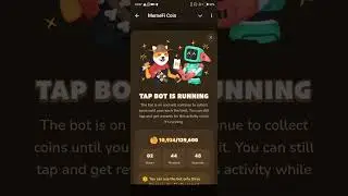 Keep your Seed phrase on Memefi for Safety.