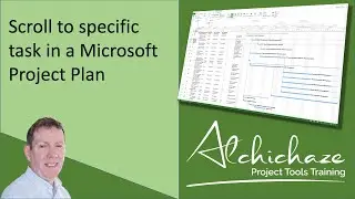 Format Microsoft Project Entry Table