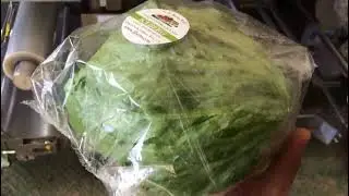 REDPACK BMI  ICEBERG FLOW WRAPPER ON A FIELD RIG