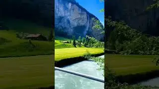 Nature | 
