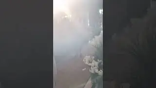 Ave Maria (Bach/Gonoud) na Entrada das Imagens