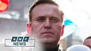 Protests planned across Russia to save Navalny's life | ANC