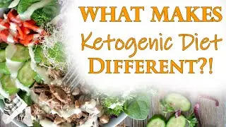 The Ketogenic Diet A Beginner's Guide To Keto - What Is Keto Diet And How To Do It