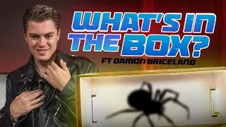 What's In The Box Ft DAMON BRICELAND