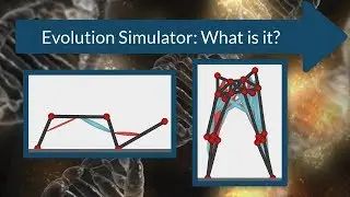 Evolution Simulator: What's it all about? (with music)